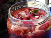 Soğan Turşusu Tarifi ve Malzemeleri