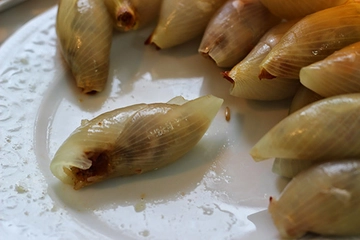 Soğan Dolması Tarifi ve Malzemeleri